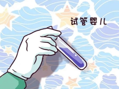 代生男孩包性别